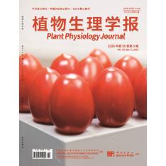 植物生理学报