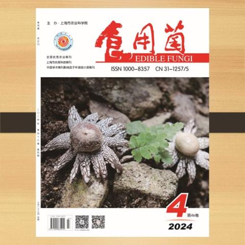 食用菌