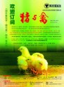 国外畜牧学—猪与禽