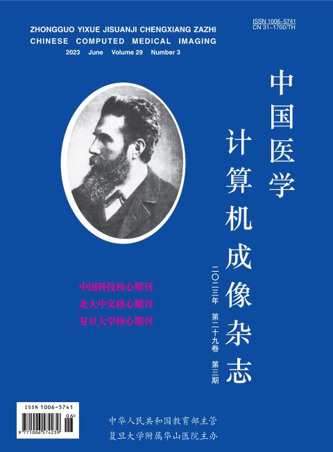 中国医学计算机成像杂志