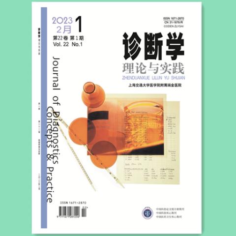 诊断学理论与实践