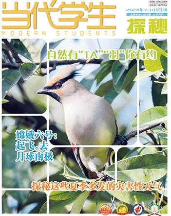 当代学生·探秘