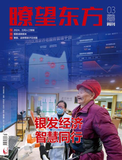 瞭望东方周刊