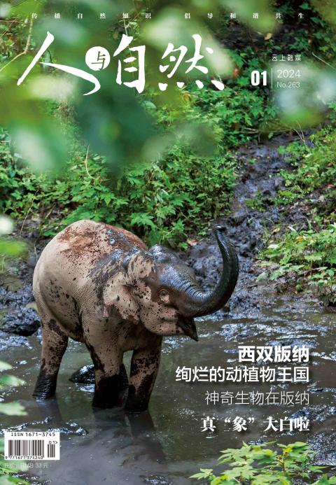 人与自然