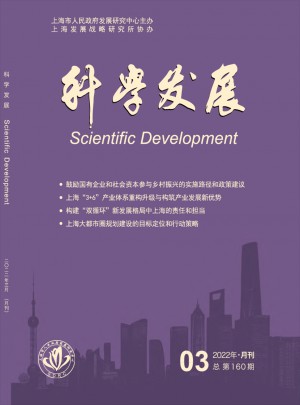 国际大都市发展研究（中英文）