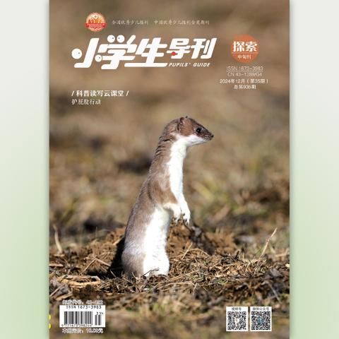 《小学生导刊·探索》