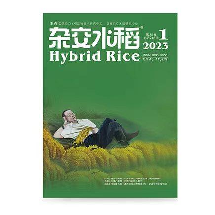 杂交水稻