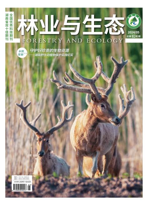 林业与生态