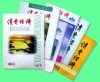消费经济