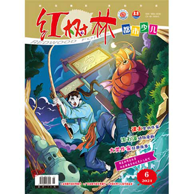 红树林.创意读写