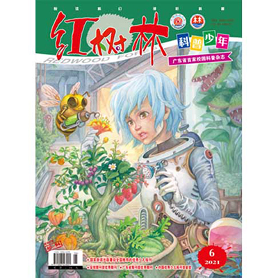 红树林.科普少年