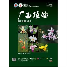 广西植物