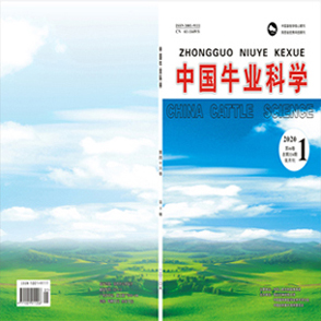中国牛业科学