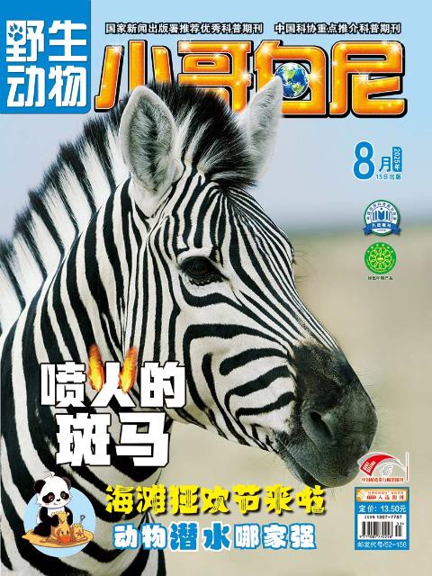 小哥白尼.野生动物