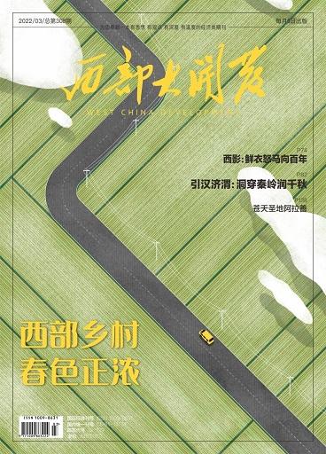 西部大开发
