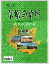 草原与草坪