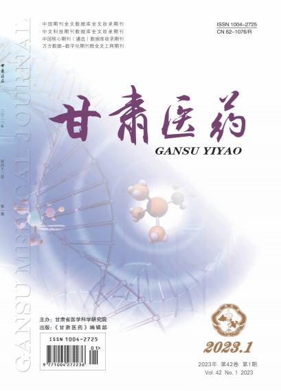 甘肃医药