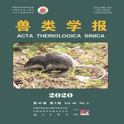 兽类学报