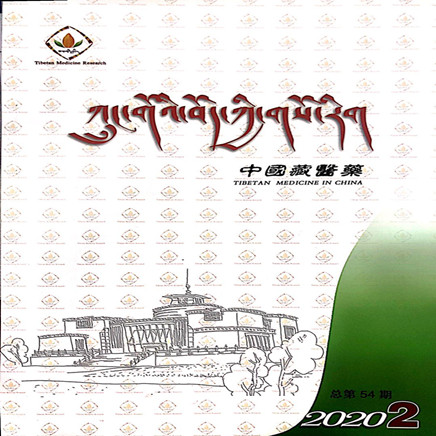 中国藏医药（藏）