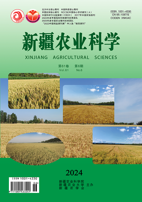 新疆农业科学（汉）