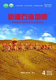 新疆石油地质（汉）