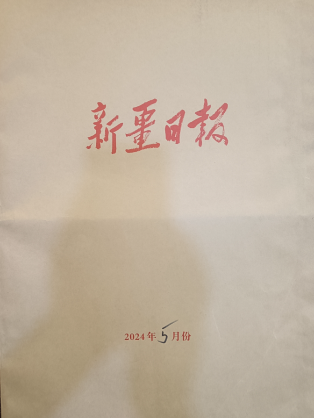 新疆日报合订本（汉）