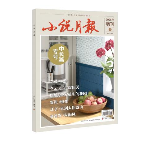 小说月报·中长篇专号