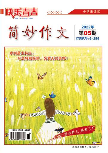 快乐青春（简妙作文小学版）