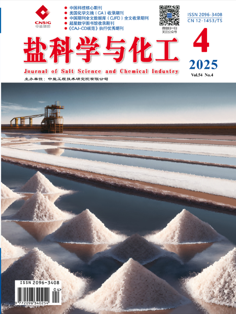 盐科学与化工