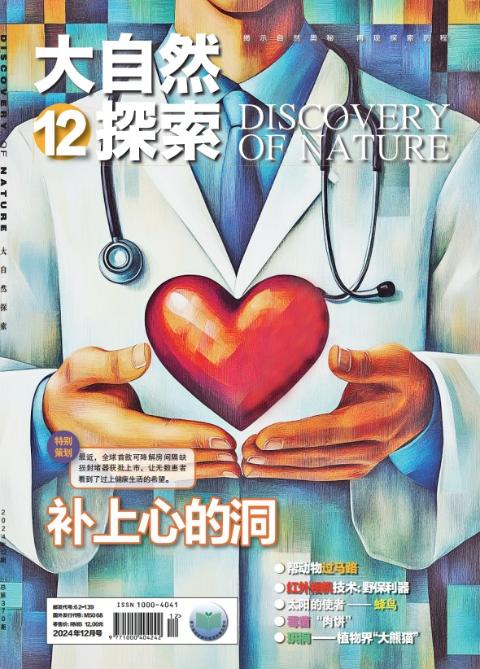 大自然探索