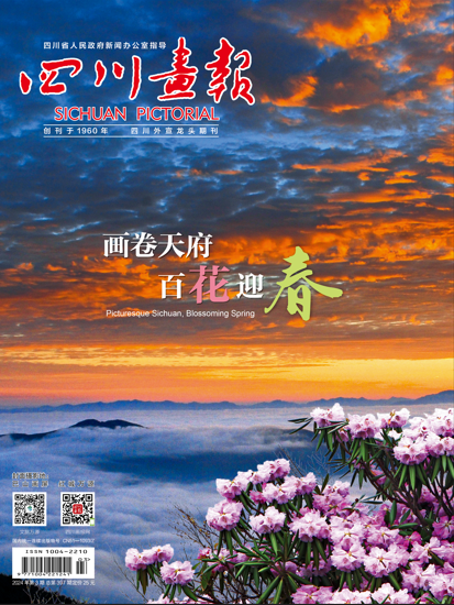 四川画报