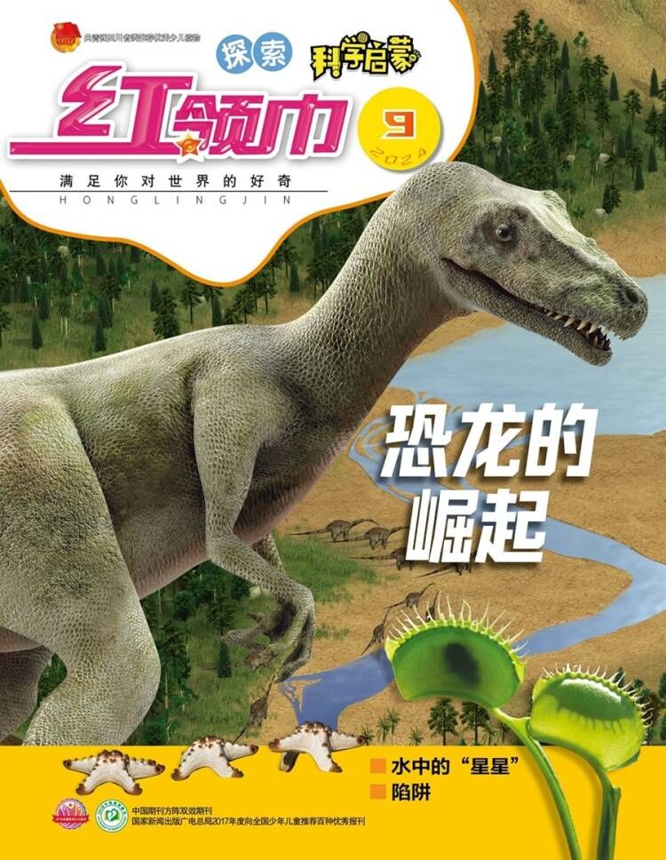 红领巾.探索