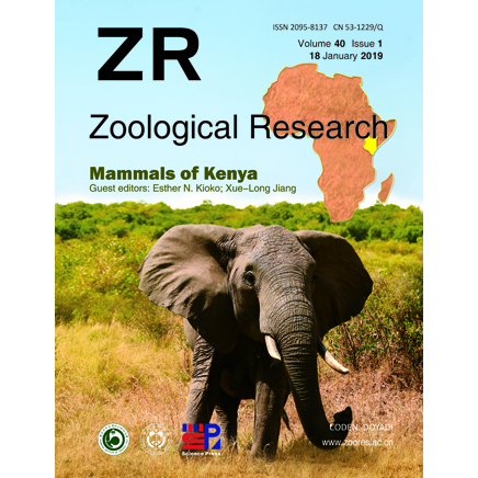 动物学研究（ZoologicalResearch）