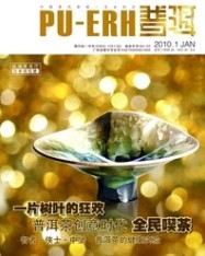 普洱
