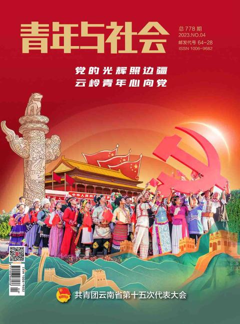 青年与社会