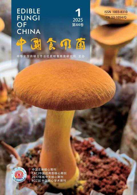 中国食用菌