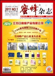 蜜蜂杂志