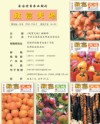 致富天地