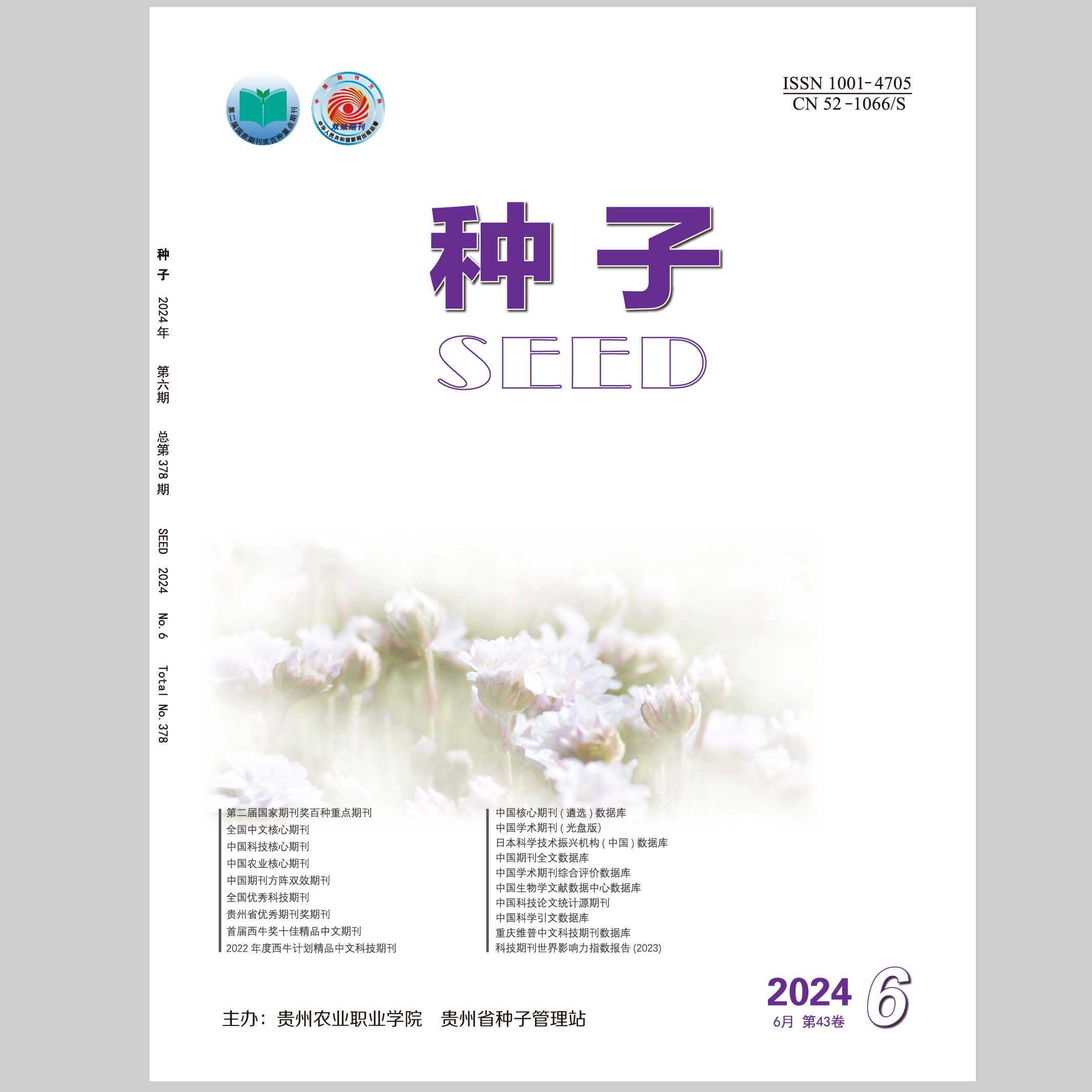 种子