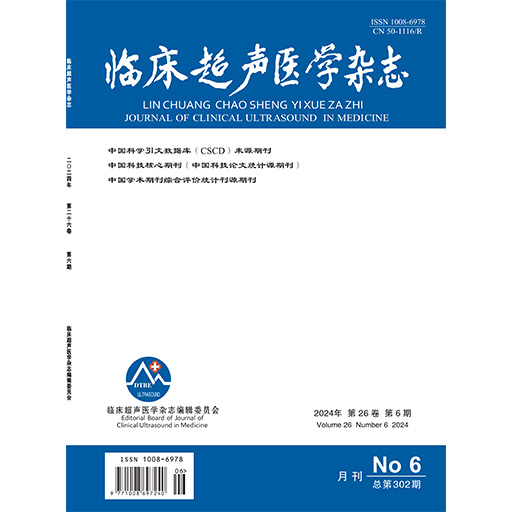 临床超声医学杂志