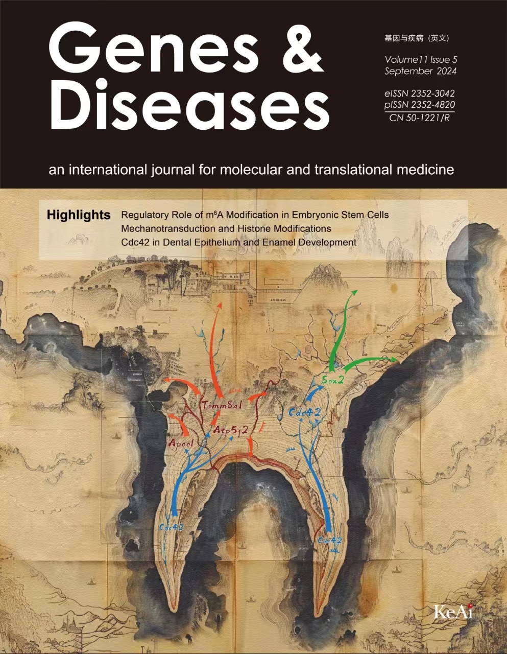 《基因与疾病（英文）》（Genes＆Diseases）
