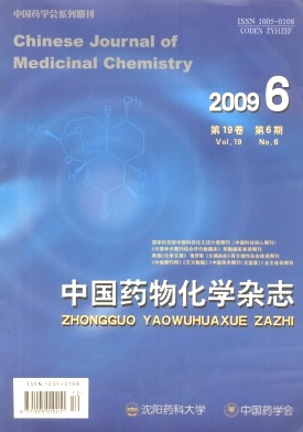 中国药物化学杂志