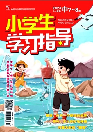 小学生学习指导（中年版）