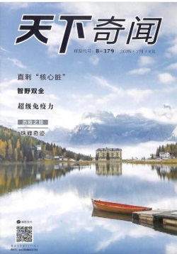 天下奇闻