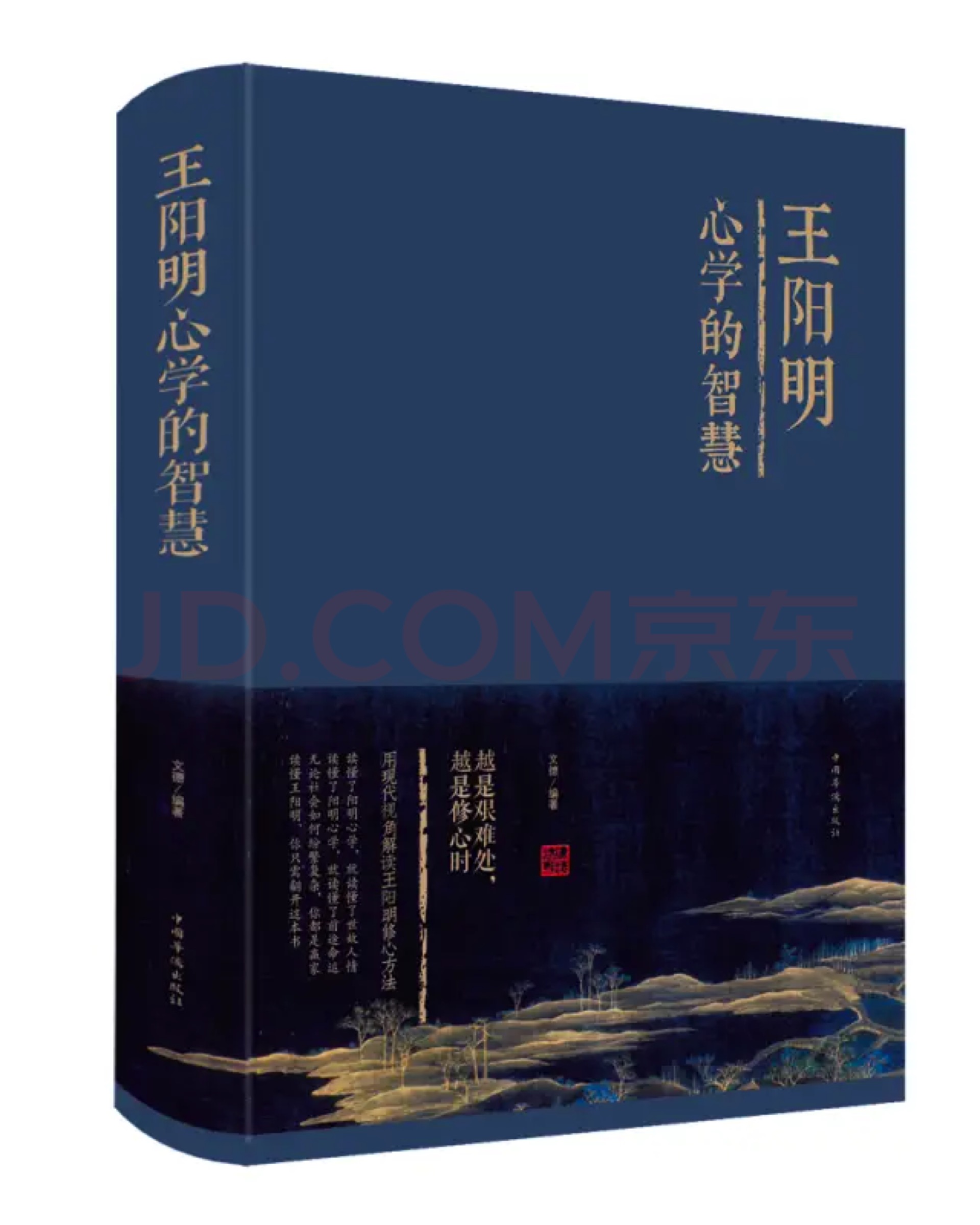 王阳明心学的智慧（精装）