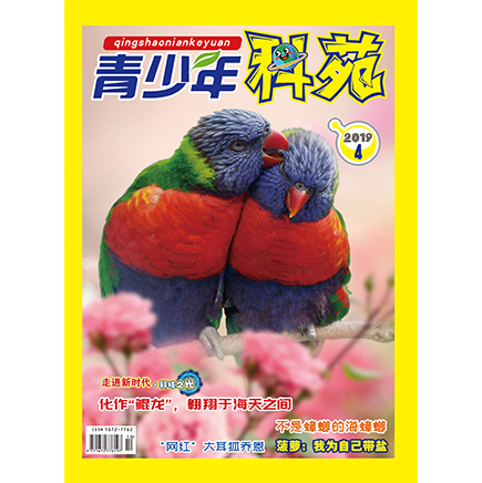 青少年科苑