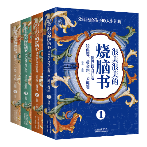 很美很美的烧脑书（全4册）