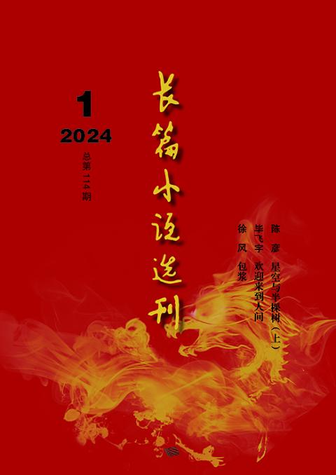 长篇小说选刊