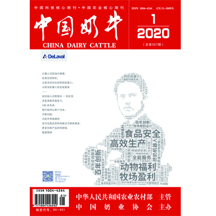 中国奶牛