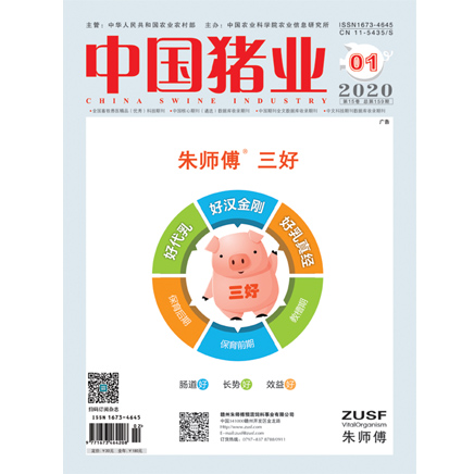中国猪业